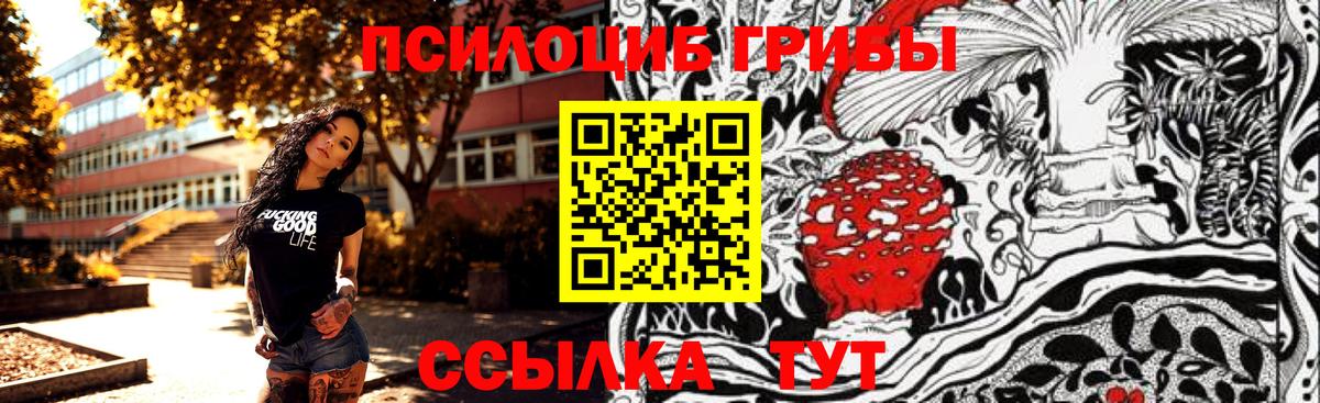 Красноуфимск  Галлюциногенные грибы Psilocybine cubensis  Вход с VPN 