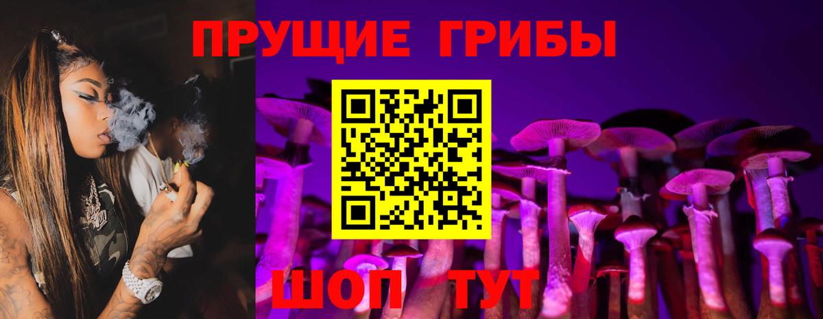 Галлюциногенные грибы Psilocybine cubensis Красноуфимск